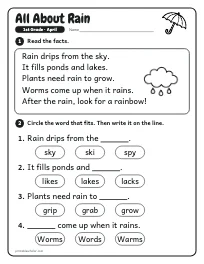 All About Rain worksheet