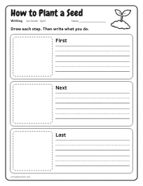 How to Plant a Seed worksheet