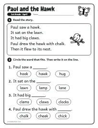 Paul and the Hawk worksheet