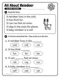 All About Reindeer worksheet