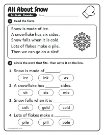 All About Snow worksheet