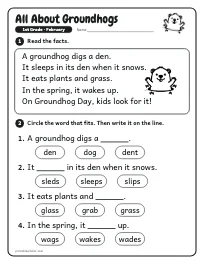 All About Groundhogs worksheet
