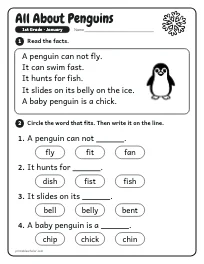 All About Penguins worksheet