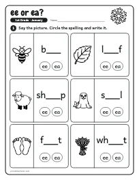 ee or ea? worksheet
