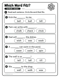 Which Word Fits? worksheet