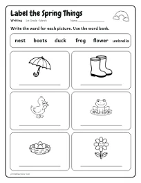 Label the Spring Things worksheet