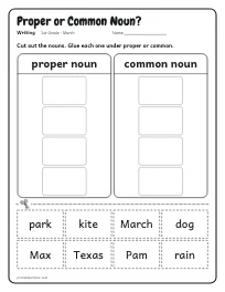 Proper or Common Noun? worksheet