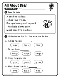 All About Bees worksheet