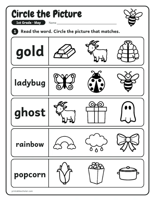 Circle the Picture: 1st grade reading worksheet preview
