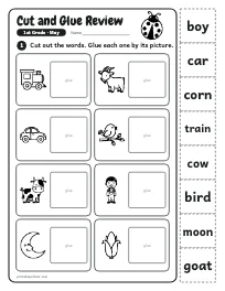 Cut and Glue Review worksheet