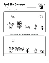 Spot the Changes worksheet