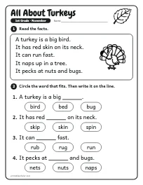All About Turkeys worksheet