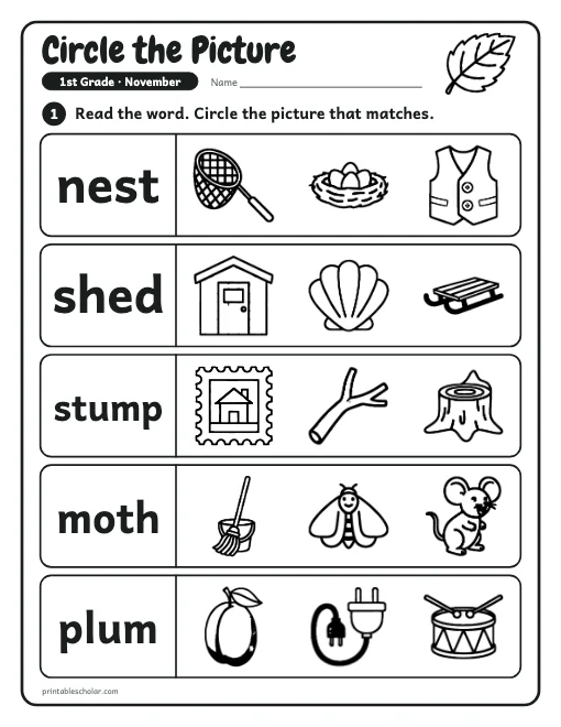 Circle the Picture: 1st grade reading worksheet preview