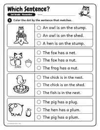 Which Sentence? worksheet