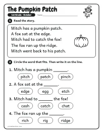 The Pumpkin Patch worksheet