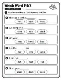 Which Word Fits? worksheet