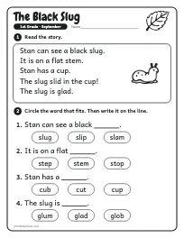 The Black Slug worksheet