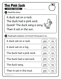 The Pink Sock worksheet