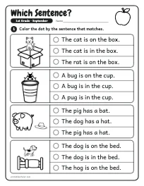 Which Sentence? worksheet