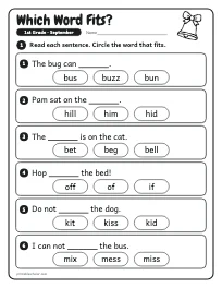 Which Word Fits? worksheet