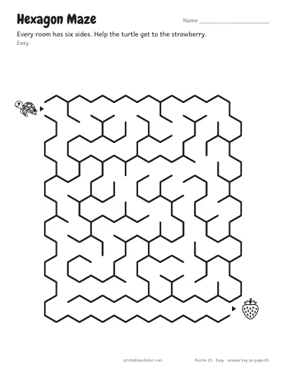 Hexagon Maze (Easy) preview