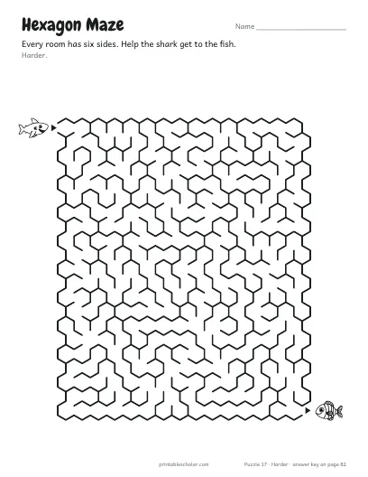 Hexagon Maze (Harder) preview