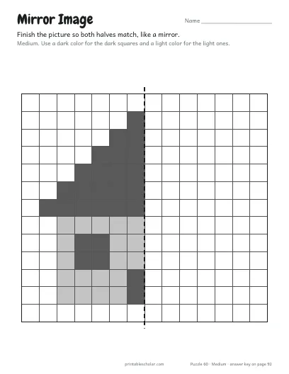 Mirror Image: House (Medium) preview
