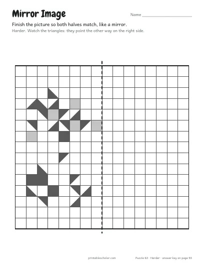 Mirror Image: Pattern (Harder) preview