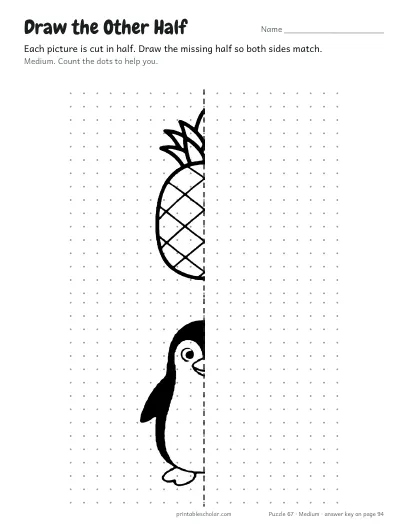 Draw the Other Half (Medium) preview