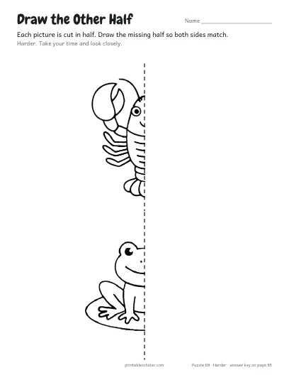 Draw the Other Half (Harder) preview