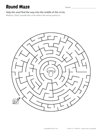 Round Maze (Medium) preview