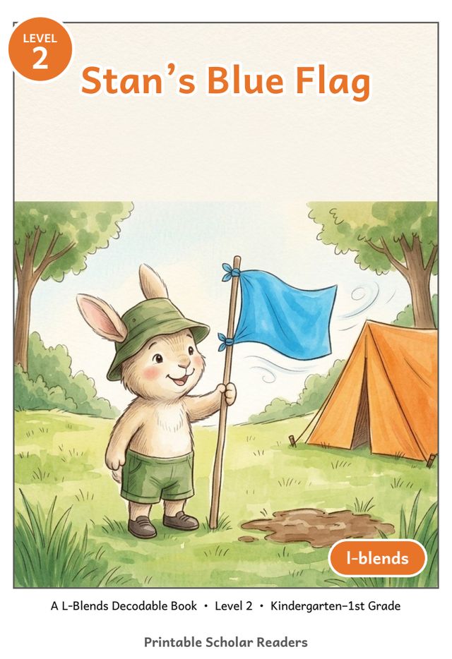 Stan's Blue Flag printed mini-book cover