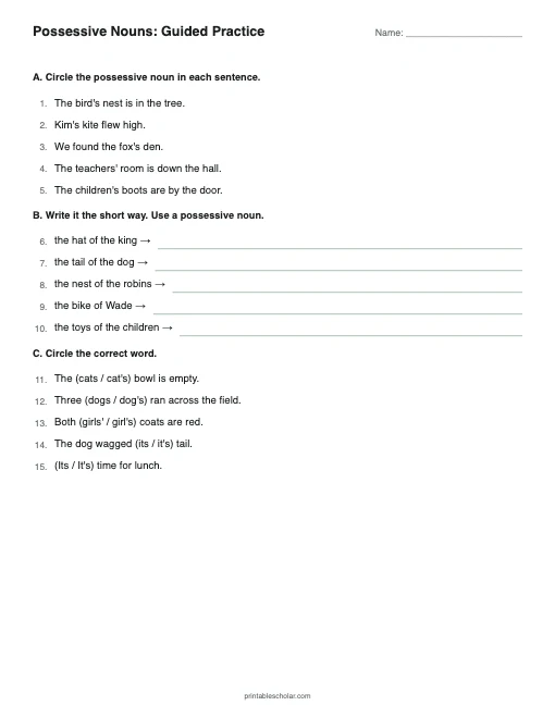 Possessive Nouns: Guided Practice printable preview