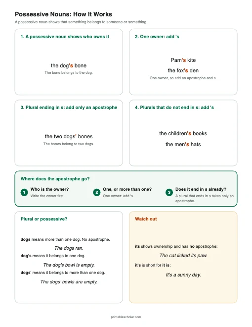 Possessive Nouns: How It Works printable preview