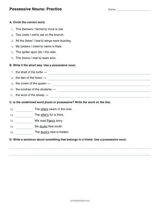 Possessive Nouns: Practice printable preview