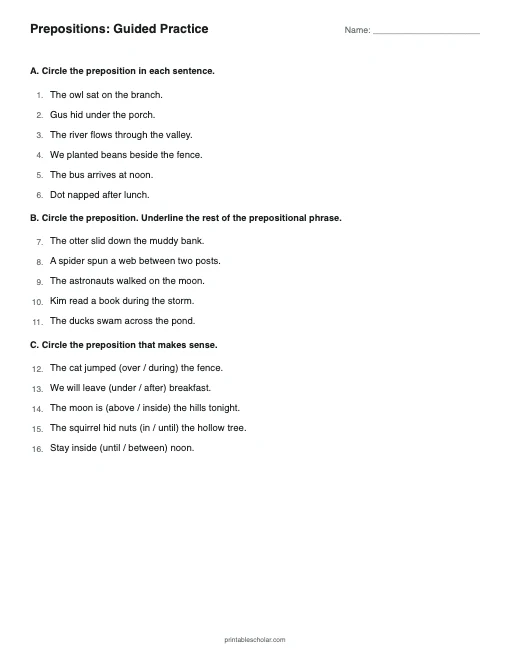 Prepositions: Guided Practice printable preview