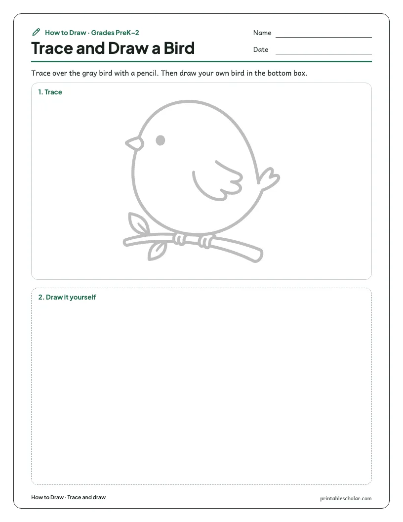 Cute bird: Trace and Draw worksheet preview