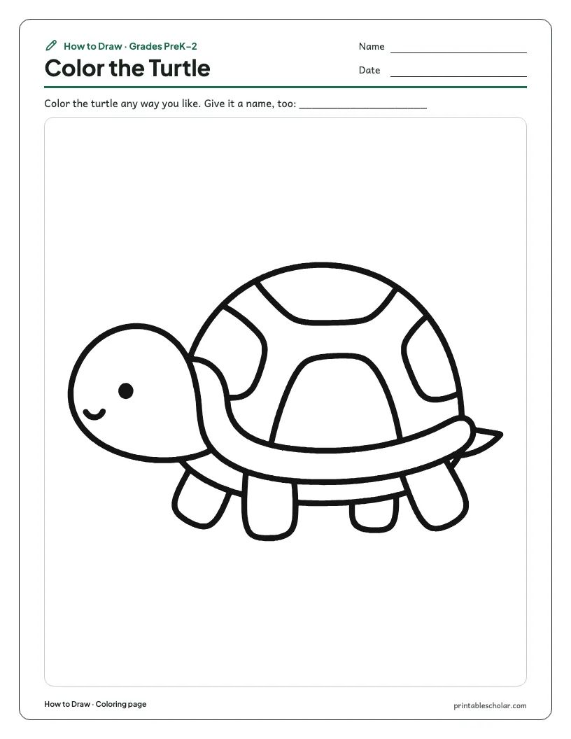 Cute turtle: Coloring Page worksheet preview
