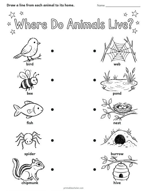 Where Do Animals Live? worksheet preview