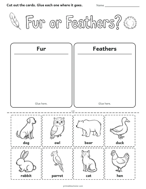 Fur or Feathers? worksheet preview