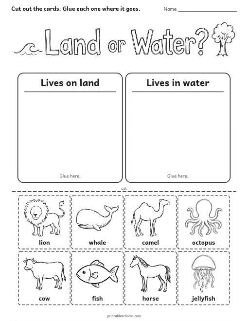 Land or Water? worksheet preview