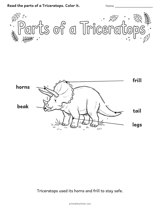 Parts of a Triceratops worksheet preview
