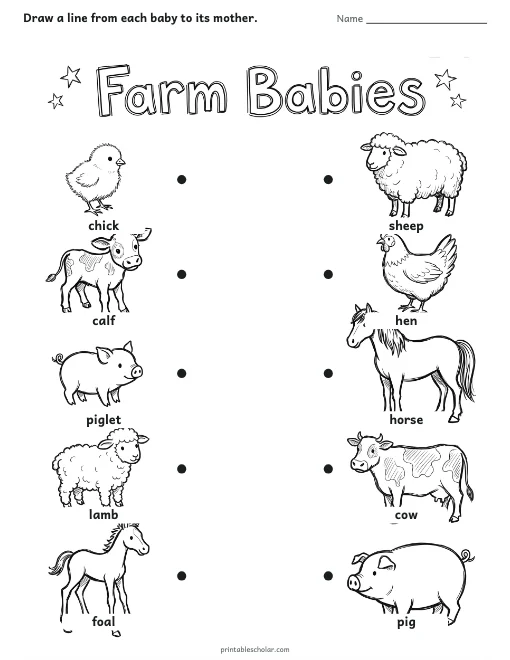 Farm Babies worksheet preview