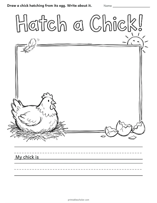 Hatch a Chick! worksheet preview