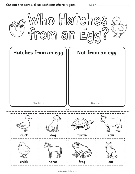 Who Hatches from an Egg? worksheet preview