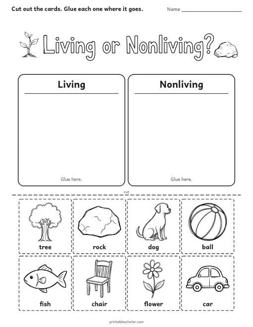 Living or Nonliving? worksheet preview