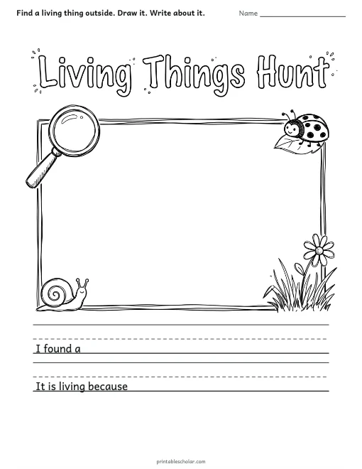 Living Things Hunt worksheet preview