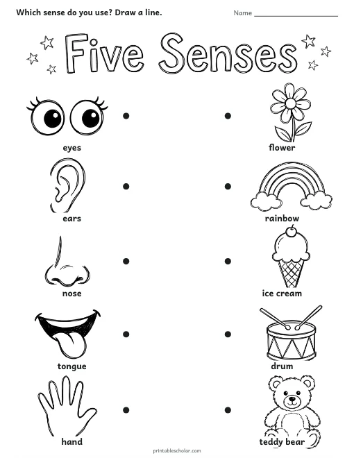 Five Senses Match worksheet preview
