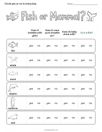 Fish or Mammal? worksheet