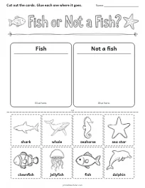 Fish or Not a Fish? worksheet